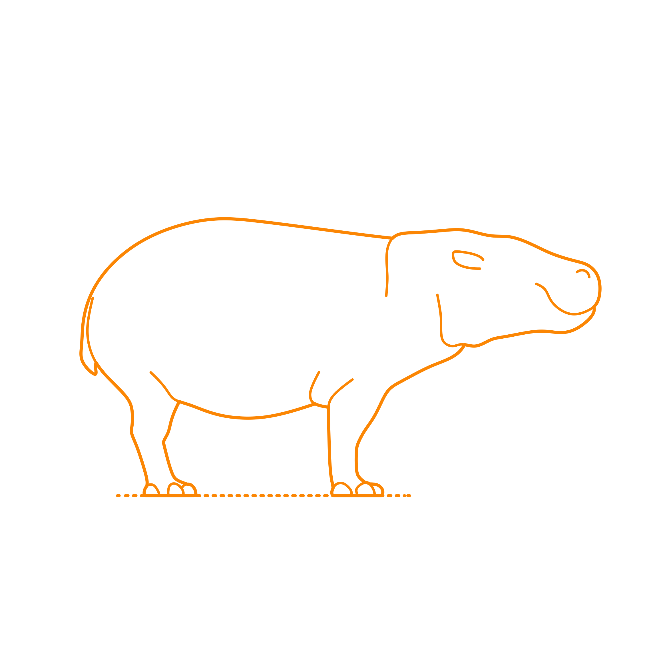 Animals Hippos Pygmy Hippopotamus Contour Svg Vector Free Vectors